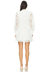 Remy Embroidered Mini Dress